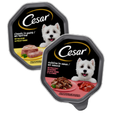 Cesar classic/cuisine